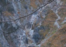 2013-10-26_Schildenstein (113)b.JPG